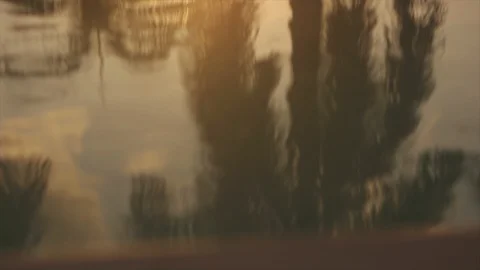 Palm Trees Reflected in Miami Waters at Sunset HD Video Video stock 90053003