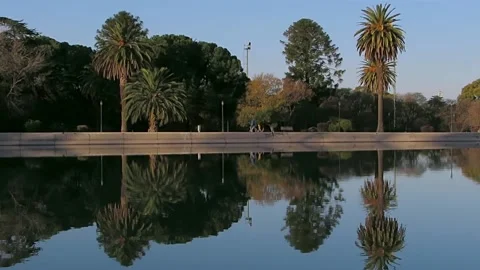 Palm trees reflected over a like and a family walking by. Stock Footage 136868031