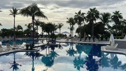 Palm trees reflecting in a huge pool at sunrise in the Caribbean. Stock Footage 281483386