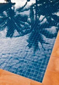 Palm trees reflection in blue water Stock Photos