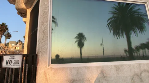 Palm trees Reflection Video stock 141015087