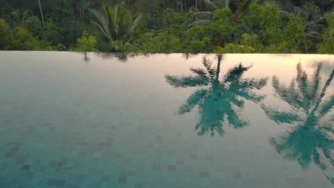 Palm trees reflection on infinity pool, jungle setting, tilt, 4K Video stock 120952492
