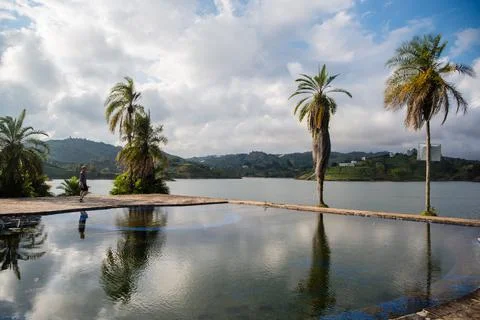 Palm trees with reflection in water. Foto stock