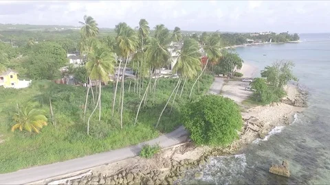 Palm trees on Rocky Beach Vídeo Stock 88573258