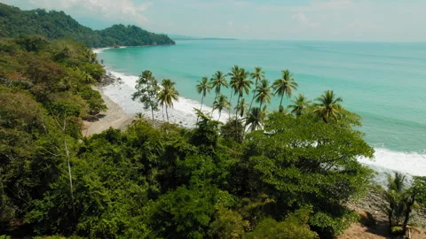 Palm trees by rocky shore with endless ocean horizon in sunny Costa Rica Stock-Footage 326032948