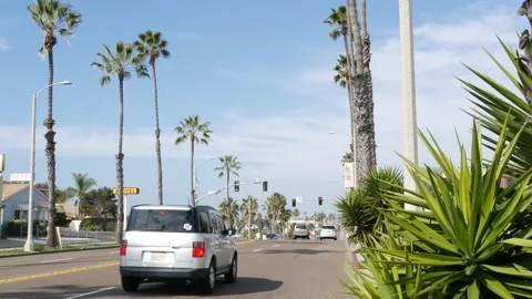 Palm trees on Route 101 highway, pacific coast, Oceanside, California USA. Subur Stock Footage 140455649