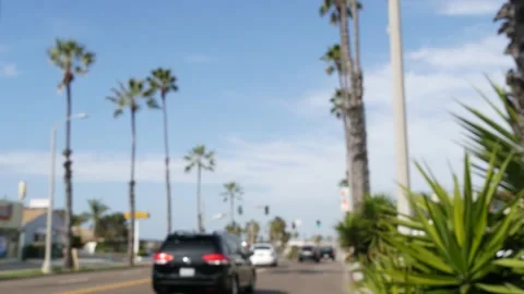 Palm trees on Route 101 highway, pacific coast, Oceanside, California USA Stock Footage 154234500
