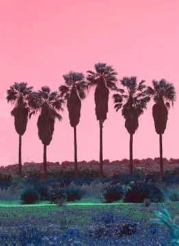 Palm trees in a row abstract surrealistic pink and green color Foto stock
