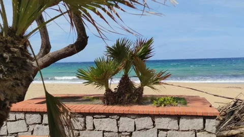 Palm Trees Sandy Beach Background Sea and Mountains Turquoise Water Stock Footage 184924222