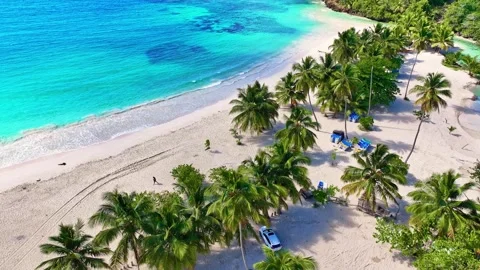 Palm trees on a sandy beach on a tropical island paradise. 動画素材 330989446
