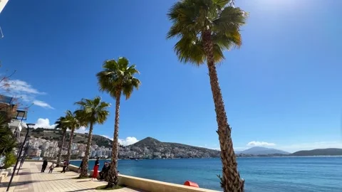 Palm trees in Sarande Stock Footage 269989405
