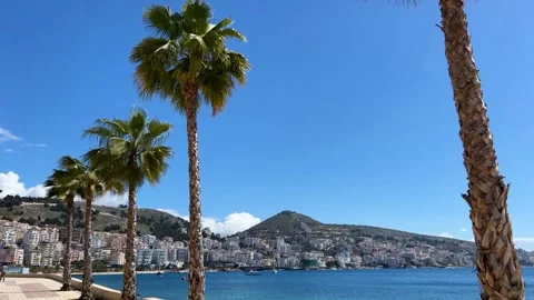 Palm trees sarande Stock Footage 269990680
