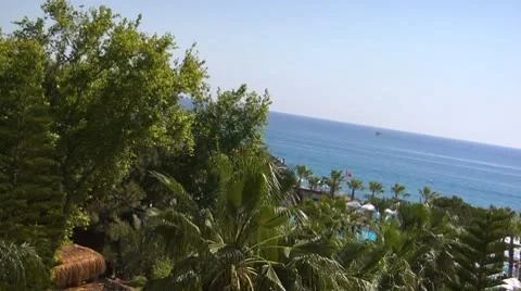 Palm trees on sea 02 動画素材 8967913