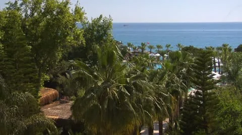 Palm trees on sea Vídeos de archivo 8967916