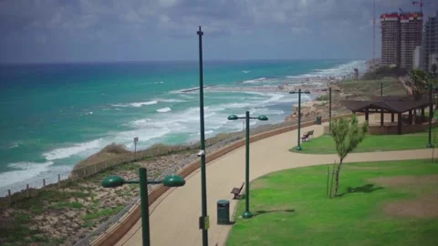 Palm trees by the sea Stock Footage 147686295