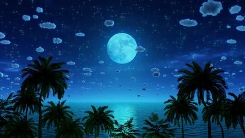Palm trees by the sea, illuminated by a large moon. Stock Footage 339036018