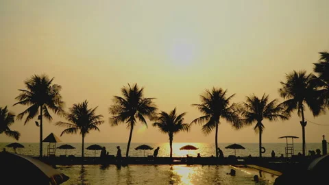 Palm trees by the sea at sunset Stock Footage 87937312
