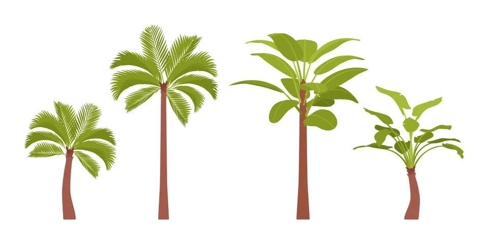 Palm trees set Stock Illustration