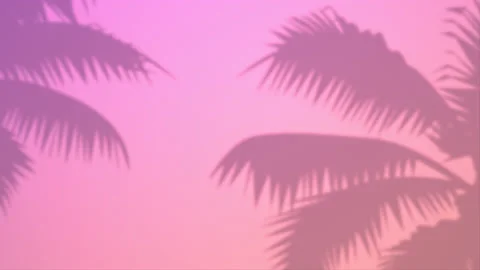 Palm trees shadow on the wall. Summer, sun, tropical plant leaf Stock Footage 163231848