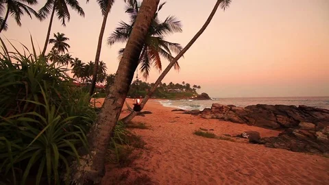 Palm trees on the shore of a tropical beach at sunset Stock-Footage 72522376