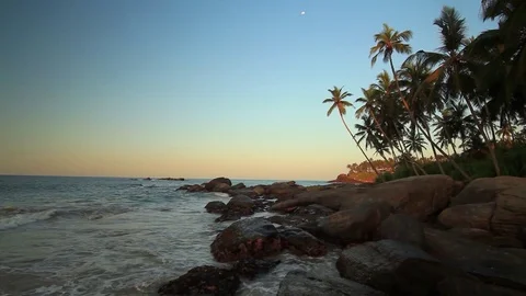 Palm trees on the shore of a tropical beach at sunset Video stock 80442806