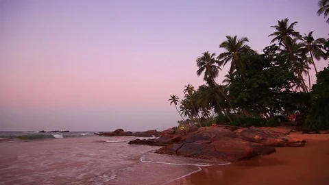 Palm trees on the shore of a tropical beach at sunset Stock Footage 80443429