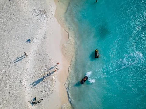 Palm Trees on the shoreline of Eagle Beach in Aruba Eagle Beach Aruba, Pal... Stockfoto's