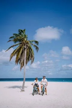 Palm Trees on the shoreline of Eagle Beach in Aruba Eagle Beach Aruba, Pal... Stock Photos