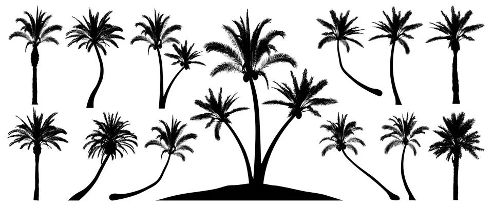 Palm trees silhouette. Isolated objects on a white background. Vector set trees Stock Illustration