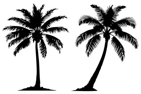 Palm trees silhouette isolated vector illustration on a white background. Stock Illustration