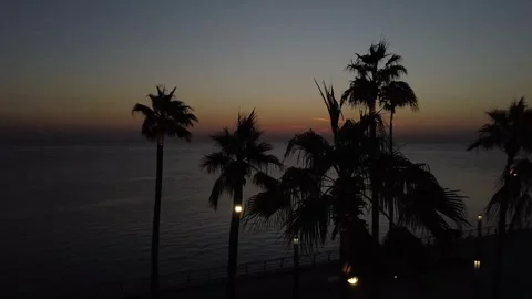 Palm Trees Silhouetted at Dawn Along Saudi Coast Stock Footage 336473629