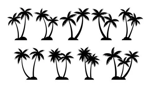Palm trees silhouettes summer set. Palm trees isolated on white background. Stock Illustration
