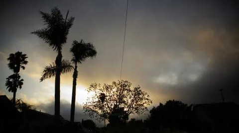 Palm Trees in the sky Foto stock