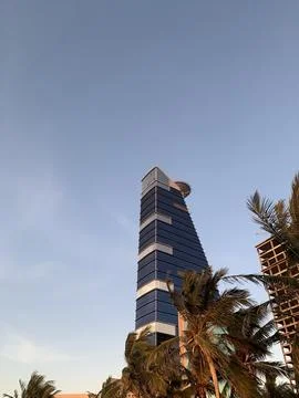 The palm trees with skyscraper Stock Photos