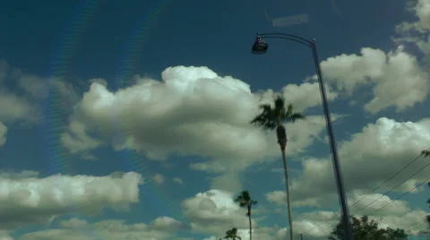 Palm trees slomotion Stock Footage 34983459