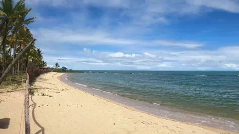 Palm trees with a small strip of sand on the beach without anyone Stock Footage 172013813
