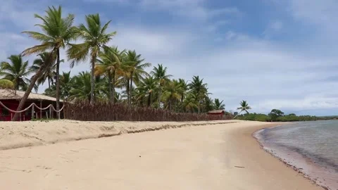 Palm trees with a small strip of sand on the beach Stock Footage 172013816