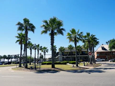 Palm Trees in St. Augustine Florida at Traffic Circle Stock Photos