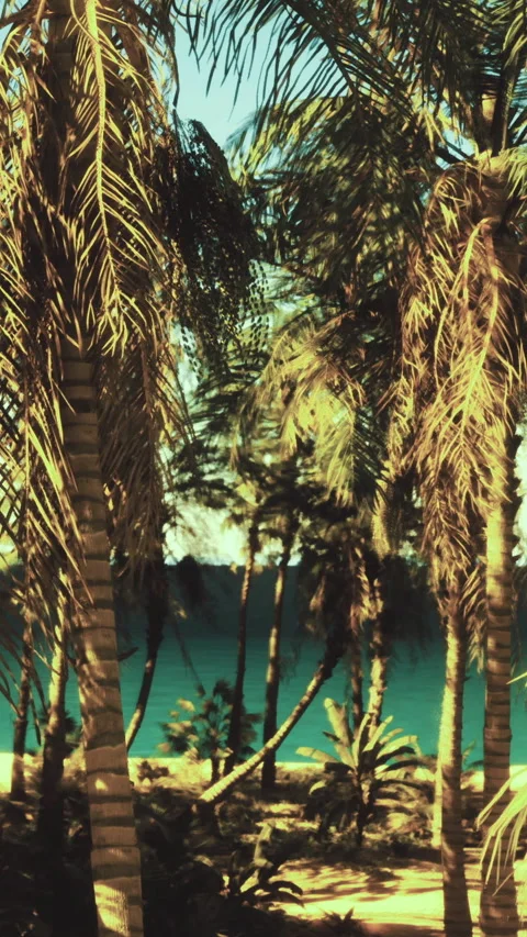 Palm trees stand by the ocean with bright blue water in the background Stock Footage 331679717