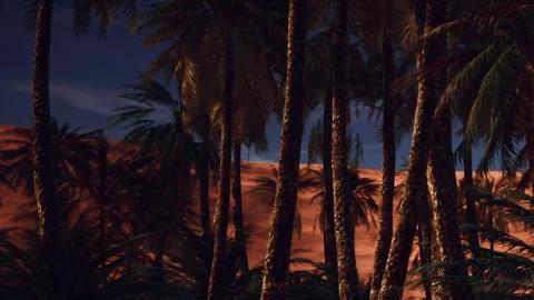 Palm trees stand tall against a desert backdrop during twilight hours Stock Footage 343933963