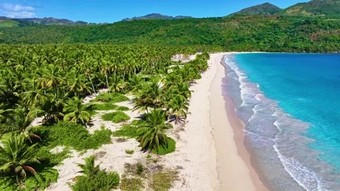 Palm trees on a sunny beach and a turquoise sea in the Caribbean. Stock Footage 335218187