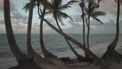 Pink sunset in the beach. Punta Cana Dom, Stock Video