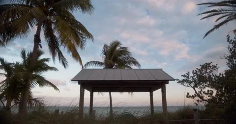 Palm Trees At Sunset With Cabana 動画素材 158810548