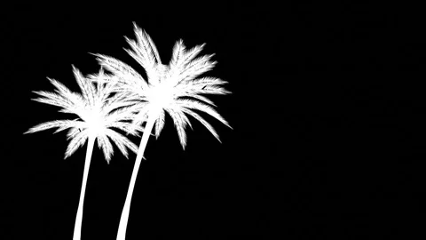 Palm trees in sunset CG animation Stock Footage 83435448