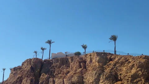 Palm trees at sunset. Egypt, the Red Sea. Blue sea. Sharm El Sheikh, Lagoon Bay Stock Footage 130749556
