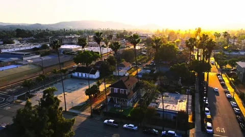 Palm Trees at Sunset Stock Footage 176010195