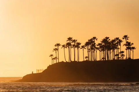 Palm trees at sunset, in Laguna Beach, Orange County, California Stock Photos