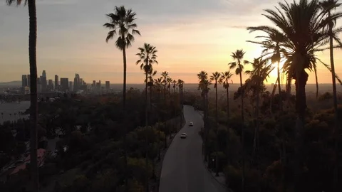 Palm trees sunset Los Angeles downtown skyline aerial drone Stock Footage 102340987