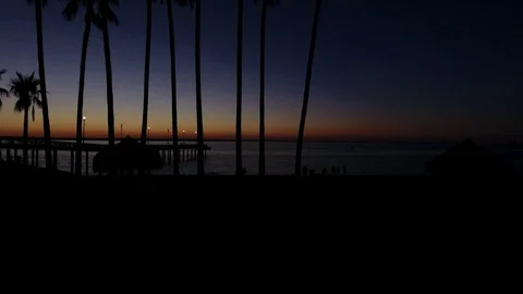 Palm trees at sunset in mexico. Stock Footage 79519560