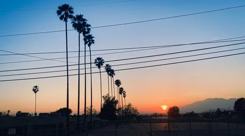 Palm Trees to Sunset 스톡 사진